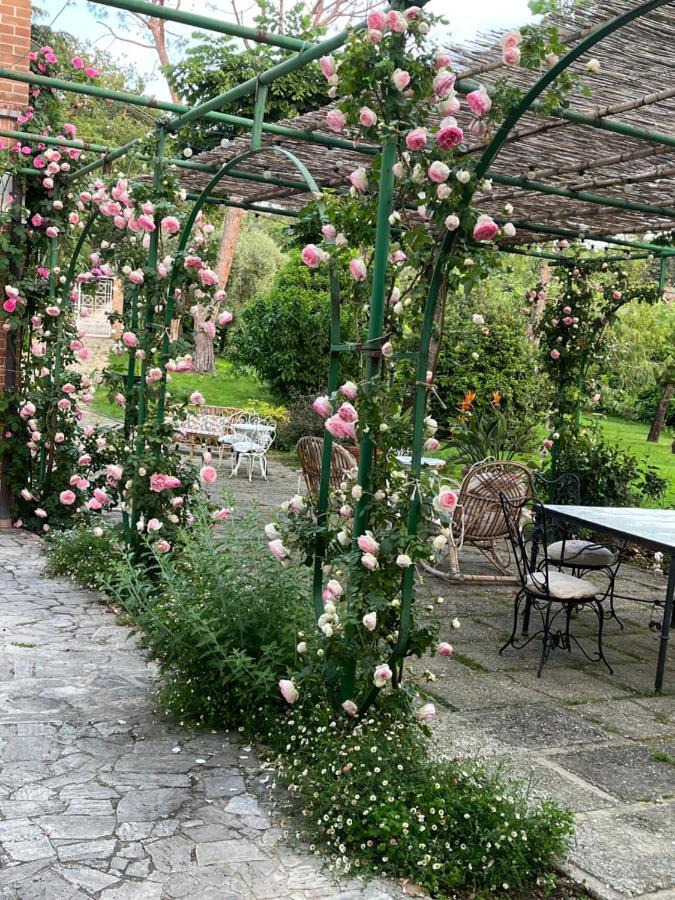 Dimora Rosa Bianca Hotel Macerata Eksteriør billede